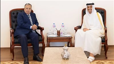 أمين عام الجامعة العربية يبحث مع رئيس الوزراء القطري تطورات الأوضاع في المنطقة
