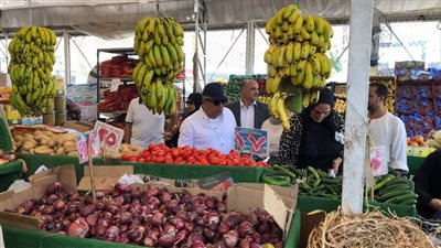 محافظ الدقهلية يتفقد المعرض الدائم للسلع الغذائية بشرق المنصورة