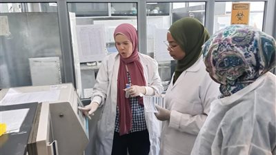 الزراعة تختتم برنامجًا تدريبيًا للكوادر السودانية في تشخيص الأمراض الحيوانية بتقنية PCR
