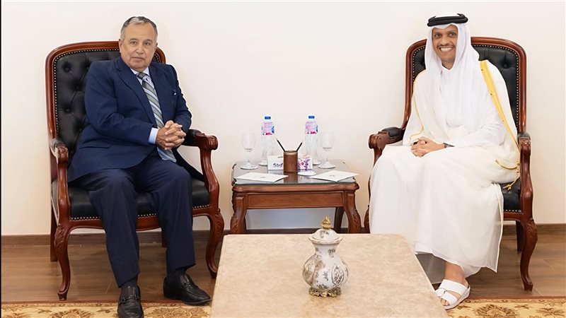 نبيل فهمى ووزير الخارجية