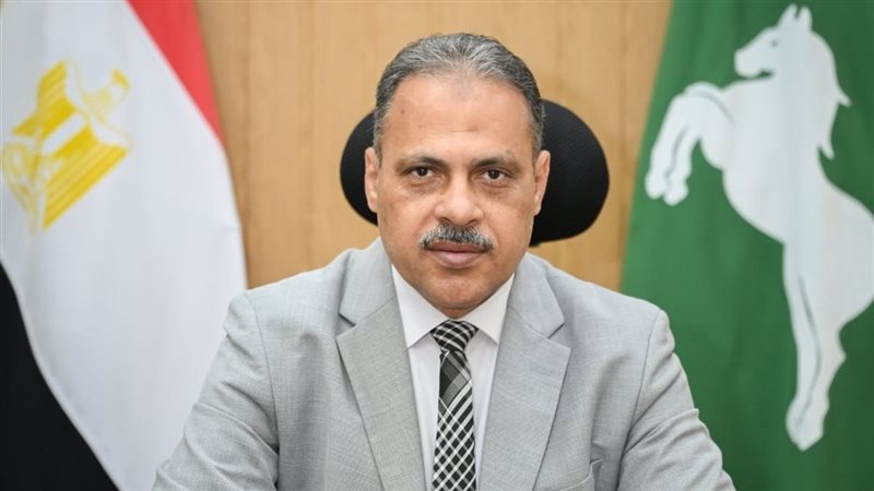  محافظ الشرقية