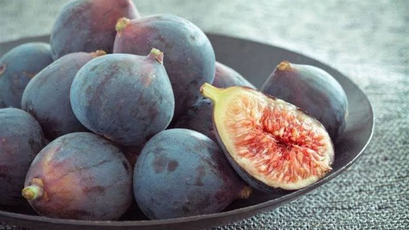 تفسير رؤية التين