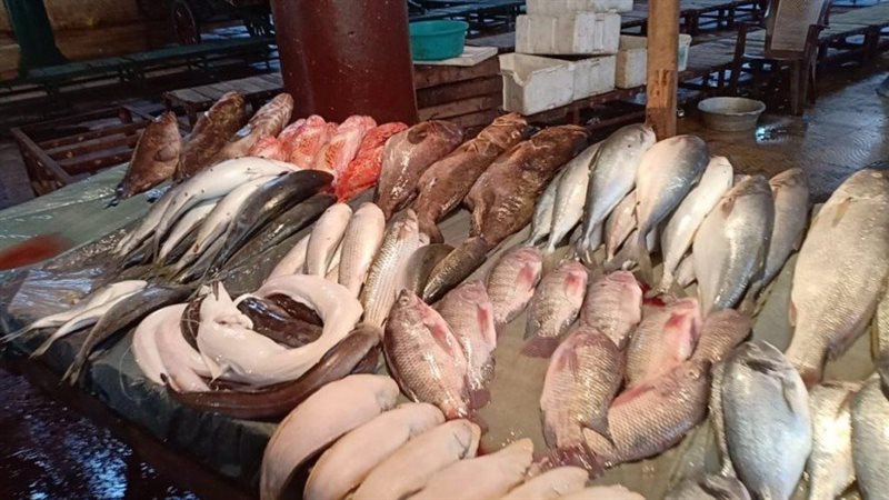 أسعار السمك اليوم،