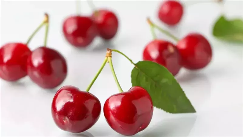 سيقان الكرز 