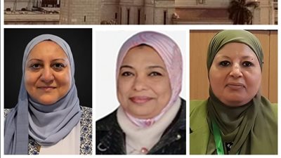 بالأسماء.. تعيين 3 وكلاء جدد لكليات الآثار والدراسات العليا والذكاء الاصطناعي بجامعة القاهرة 