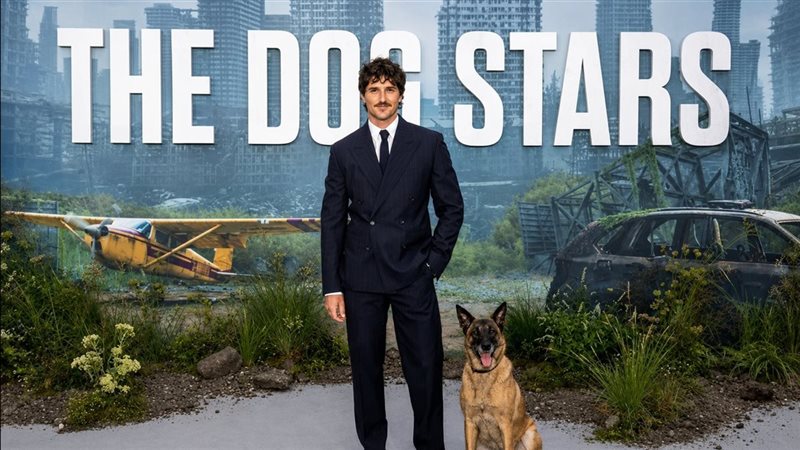 Dog Stars