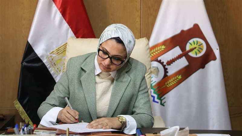 محافظ الوادى الجديد،