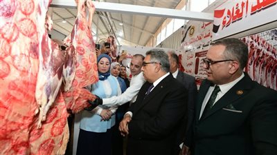 محافظ الدقهلية يفتتح معرض السلع الغذائية بميت غمر (فيديو وصور)
