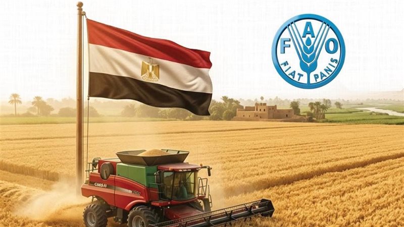 مصر الأولى عربيًا