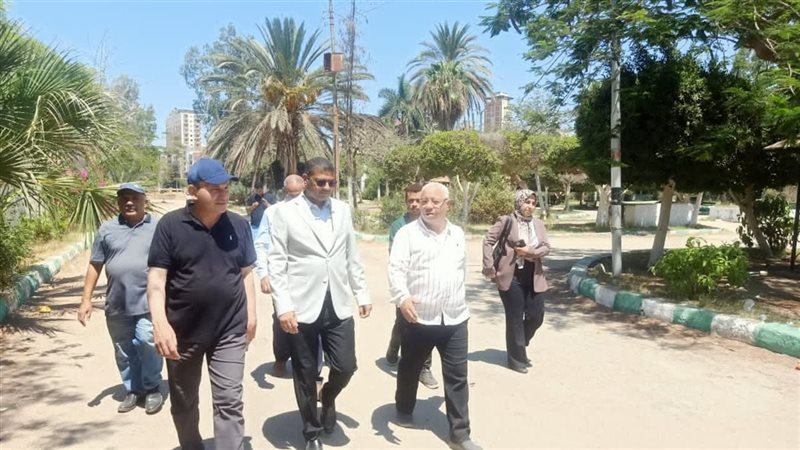 نائب محافظ الدقهلية،