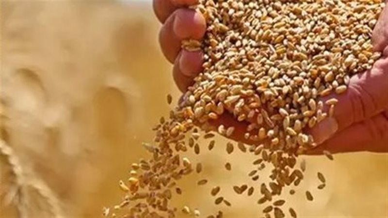 مصر الأولى عربيًا
