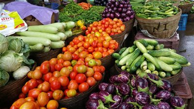 سعر الخضار اليوم، ارتفاع الطماطم والليمون وقفزة في الفلفل الألوان وانخفاض 8 أصناف 