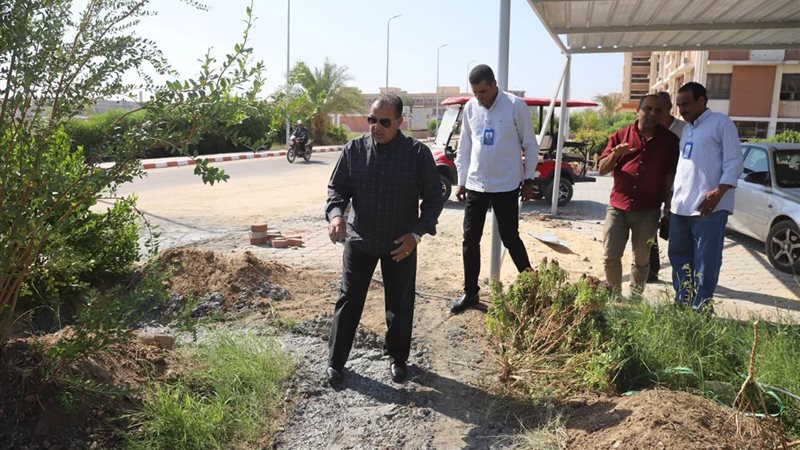قنا،فيتو