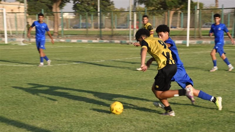المقاولون 2009