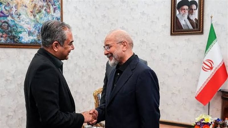 وزير الداخلية الباكستاني