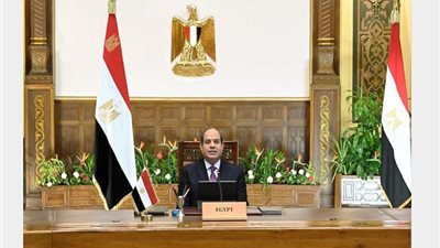 «بالأرقام وليس بالتقديرات».. السيسي يوجه بقياس أداء قطاع البترول ومتابعة التنفيذ