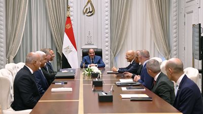السيسي: نتطلع لزيادة استثمارات 