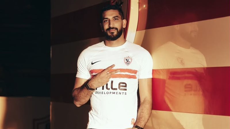 رضا هيكل