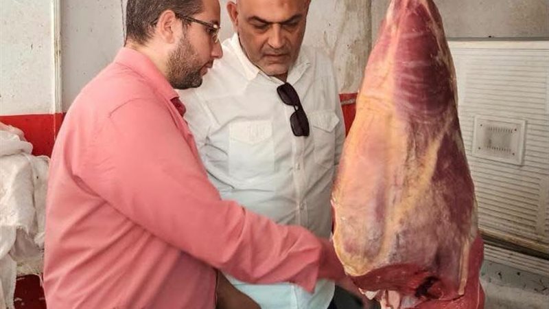 بيطري القليوبية،