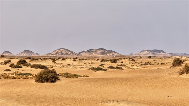 الصحراء الغربية،
