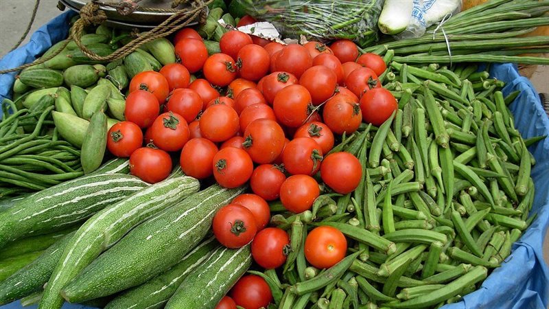 سعر الخضار اليوم،