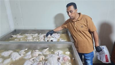 حملة رقابية مكبرة تضبط 5 أطنان من مصنعات اللحوم والدواجن الفاسدة بالدقهلية