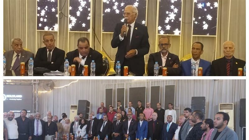 الحزب الناصرى،فيتو