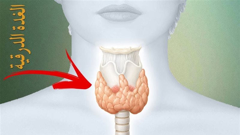 أعراض الغدة النشطة
