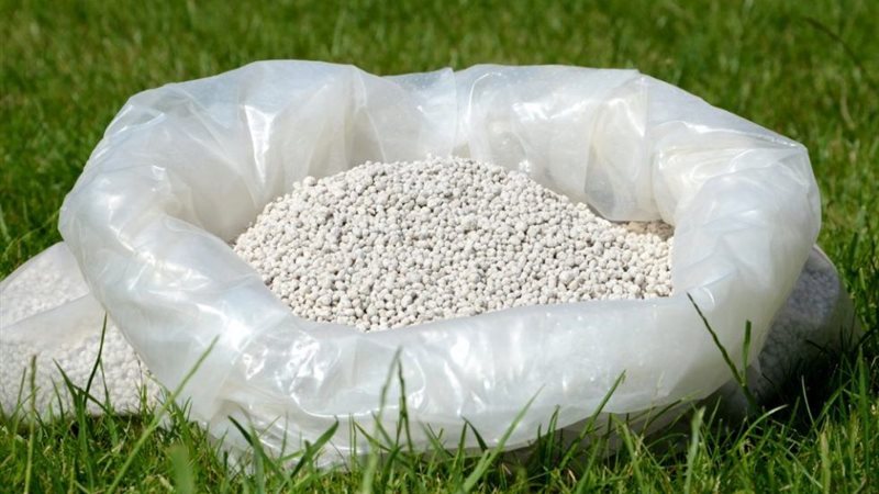 أسعار السماد اليوم،