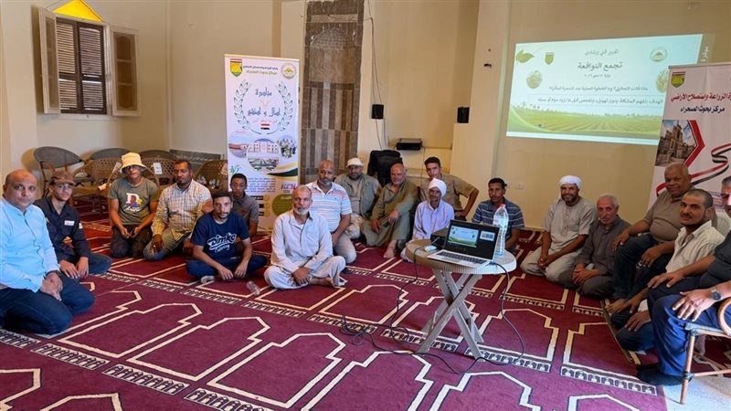 تجمع النوافعة بسيناء،