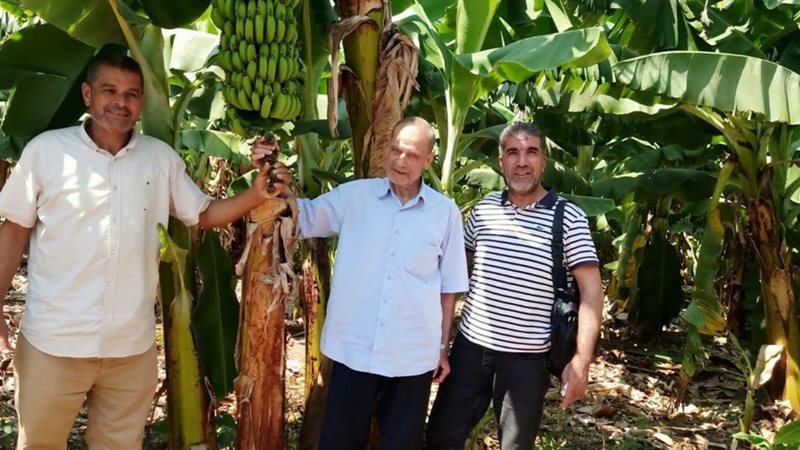 جهود مركز البحوث