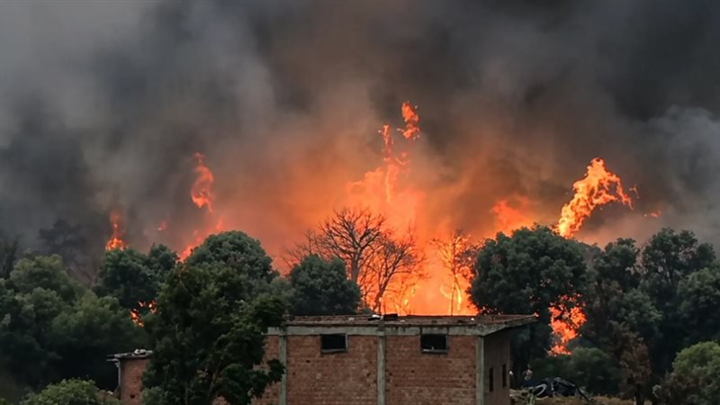 حرائق الجزائر