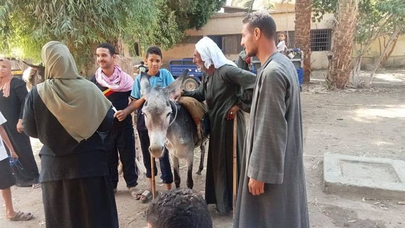 حملات تحصين الحيوانات