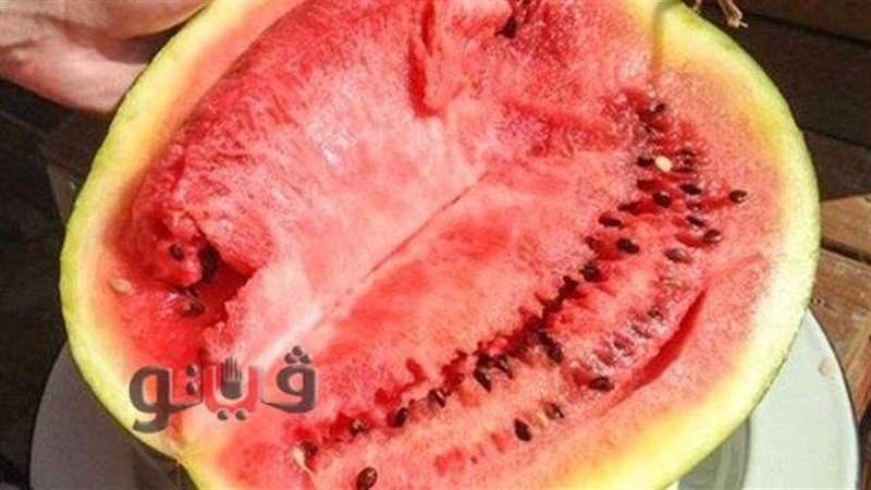 البطيخ، فيتو