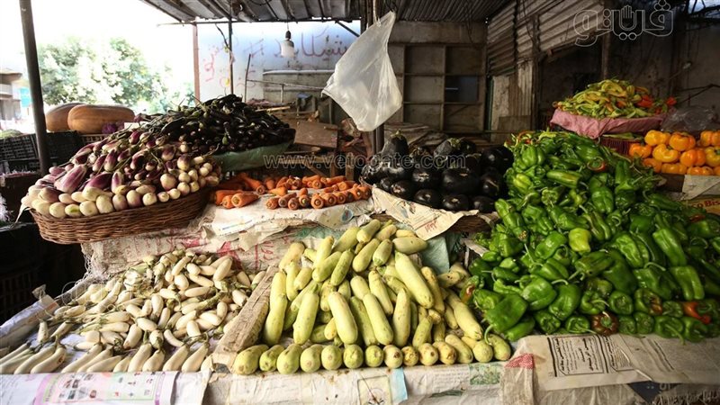 سعر الخضار اليوم، ارتفاع 8 أصناف منها الخيار والباذنجان والفلفل