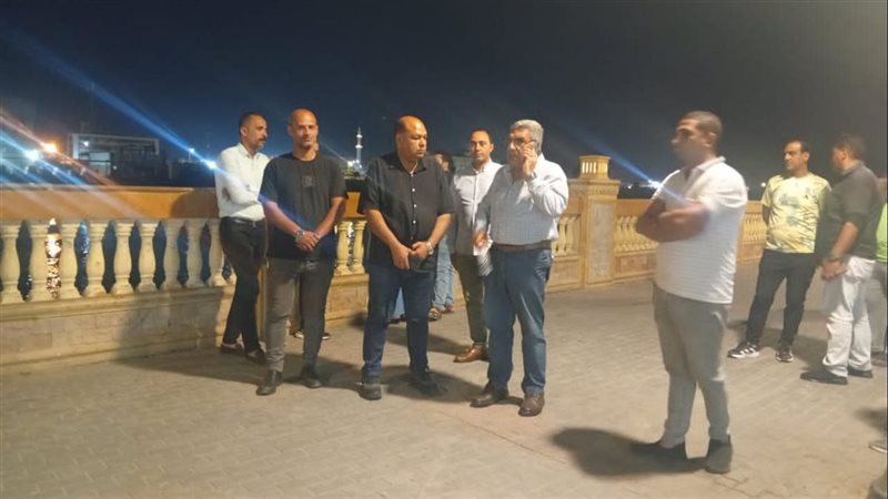 محافظ الدقهلية، فيتو