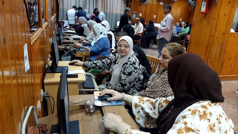 التنسيق لجامعة المنصورة،