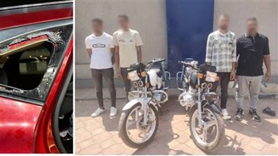حبس 4 بائعين في واقعة تهشيم سيارة المطربة رحمة عصام بالغربية