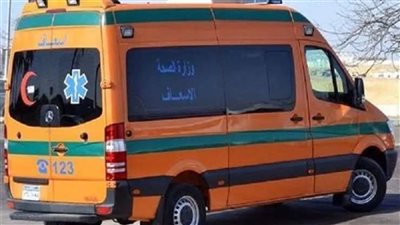 مصرع طفلين في حادثي مرور متفرقين بالفيوم