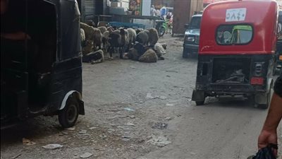 حي عين شمس يستعصي على رؤسائه، شوارع غير ممهدة وسيطرة للبائعين وميادين قنابل موقوتة (صور)  