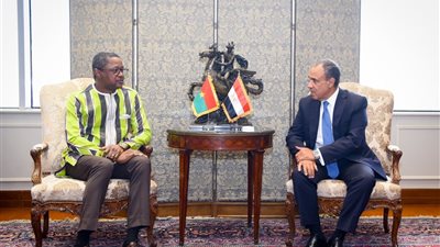 وزير الخارجية ونظيره البوركيني يبحثان تعزيز الشراكة والتنسيق بشأن الأمن والاستقرار بمنطقة الساحل