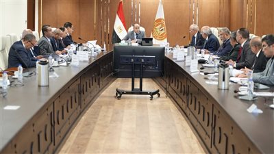 وزير العمل: صندوق إعانات الطوارئ درع الدولة لحماية العمال ودعم المنشآت المتعثرة