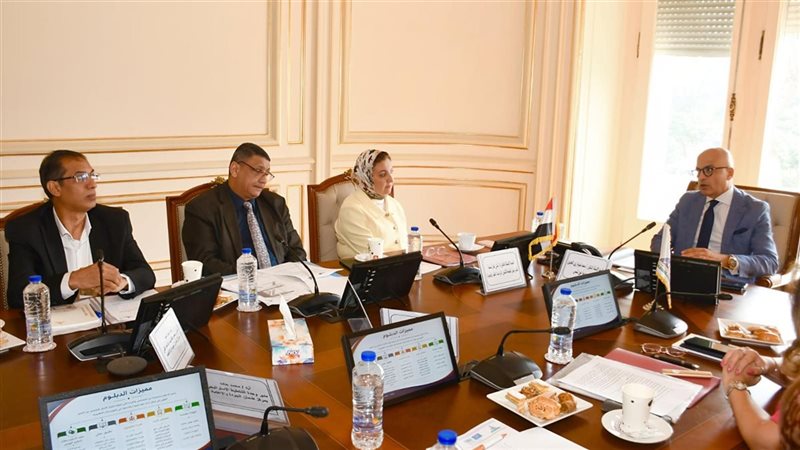 جامعة عين شمس 