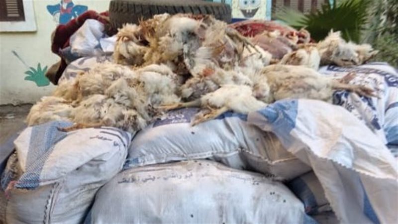 مضبوطات، فيتو