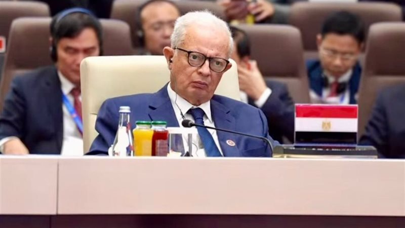 نائب رئيس الوزراء