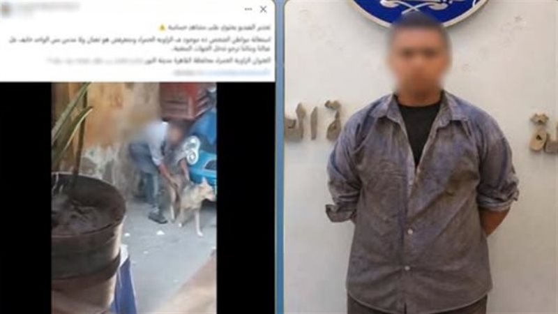  طفل بعد تداول فيديو