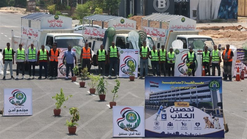 جانب من اصطفاف سيارات