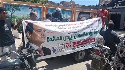 بعد وصوله لـ115، تراجع أسعار البيض في فرشوط بقنا والطبق يسجل 75 جنيها بالأسواق 
