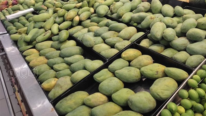 أسعار المانجو اليوم