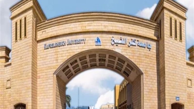 مليون و800 لنائبة